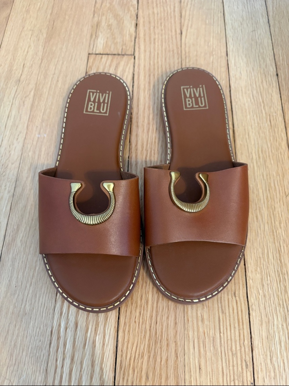 ViVI Brown Slide Sandals with Gold Horseshoe Accent